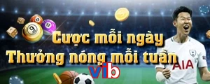vib